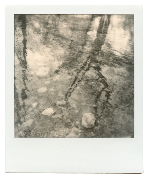 Polaroid of a reflection of a tree in rippling water